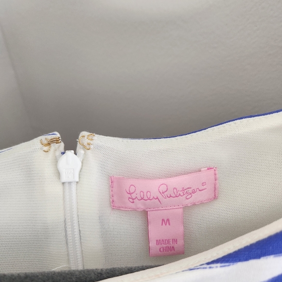 Lilly Pulitzer dress womens Medium iris blue white stripe Brielle fit flare - Picture 2 of 7